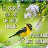 henriduville0