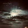 .elispn