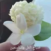 emanalzahabi