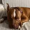 martolina0911
