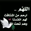 user80335620422211
