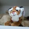 paulasouza2568