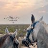 f.alshammary8