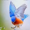 user8055195190290