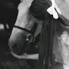 user9170581979907