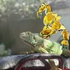 caique.mendes2