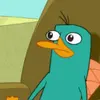 platy_the_perrypus