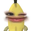 prttystary