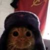 gato_sovietico3