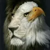 allancharleson4