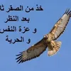 aqeelaqeel1901