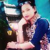 nill_pori453