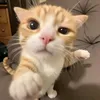 contyy.4you