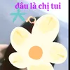 bobachiem3