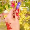 anisha.islam93