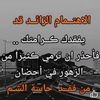 mohamadharb75