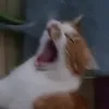 0ne_ofmany