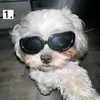 viictornzx