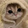 _anh288