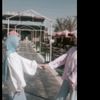 nourelhadary20