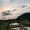rahmanfauzi016
