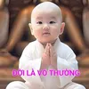 dnghongvn64