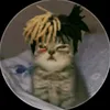 tadeo_emm