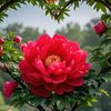 user1nv38f6tjc