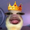 ayyshaa_2601