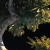 l.ikbytiktok