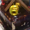 sara.khouja2