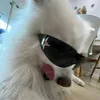 toka_lera12345