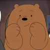 mr.bear315