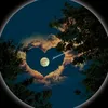 zaytunk__kamal