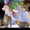 user3612544034161