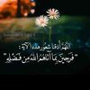 user1863958051811