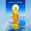 phapmontinhdo_88
