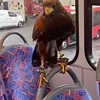 imthecoldestbird4
