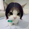 my_melody.mi109
