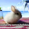 krolek_na_gavayax