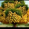 user9556125628140