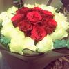 rafoha_12