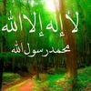 user8550524184814