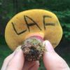 Life Art Fungi