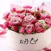 user7036101182785