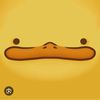 duck_and_arshy