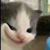 skibiditoletttt