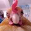 rellow_420