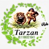 tarzan_q8