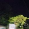 ninuninu__2